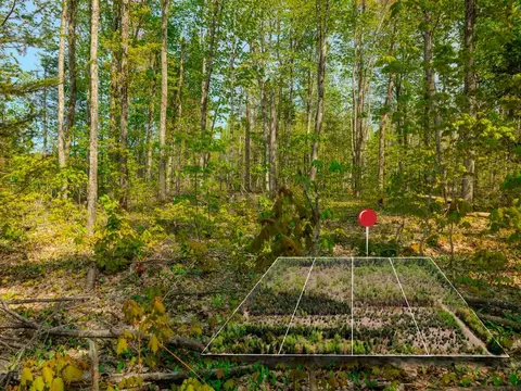 lot3 W Pendills Lake Rd, Brimley, MI 49715 photo 5