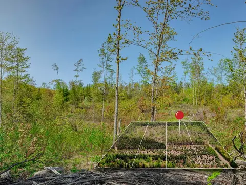 lot3 W Pendills Lake Rd, Brimley, MI 49715 photo 6