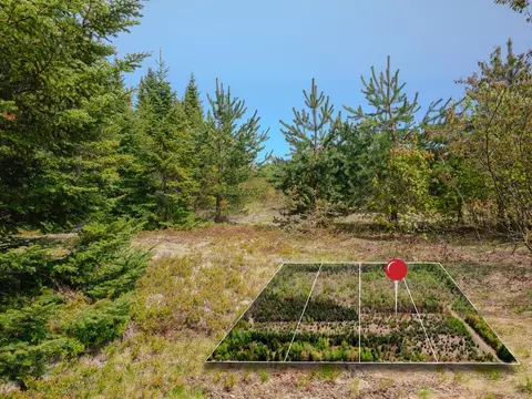 lot3 W Pendills Lake Rd, Brimley, MI 49715 photo 3