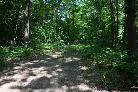 V/l Jensen Road, Fruitport, MI 49415