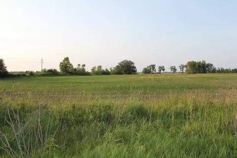 Vl Tamarack Road, Hudson, MI 49247