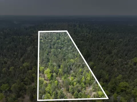 V/l N Widewaters Road, Paradise, MI 49768