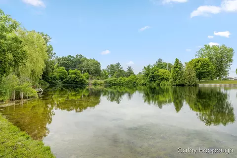 3737 E Shore Dr, Stanton, MI 48888 photo 8
