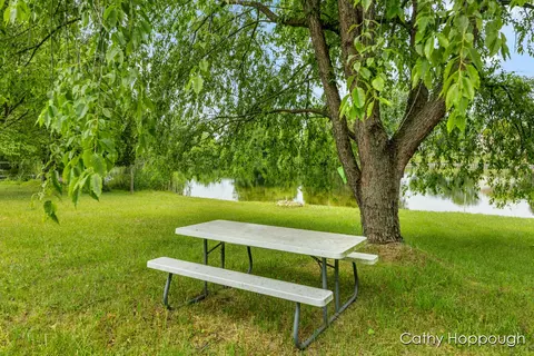 3737 E Shore Dr, Stanton, MI 48888 photo 12