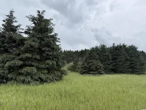 V/l Eight Mile Road, Kaleva, MI 49645