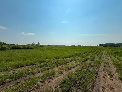 Parcel A N Stephens Road, Custer, MI 49405 photo 14