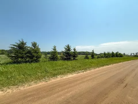 Parcel A N Stephens Road, Custer, MI 49405 photo 16