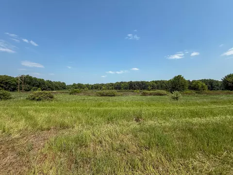 Parcel A N Stephens Road, Custer, MI 49405 photo 13