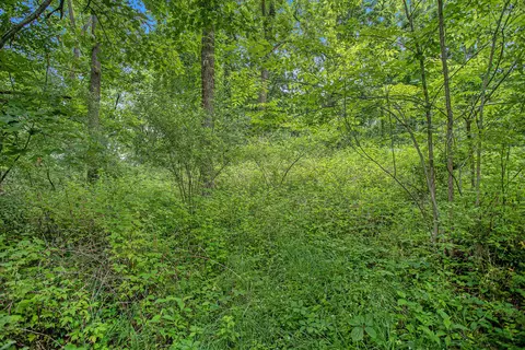 J Drive N, Marshall, MI 49068 photo 5