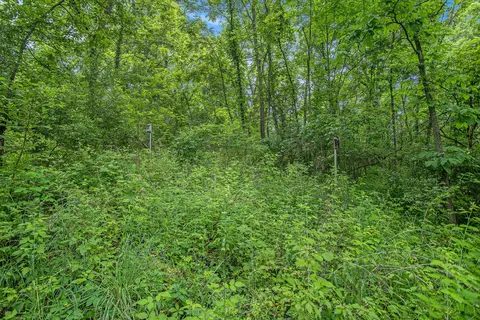 J Drive N, Marshall, MI 49068 photo 6