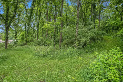 J Drive N, Marshall, MI 49068 photo 4