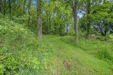 J Drive N, Marshall, MI 49068 photo 3