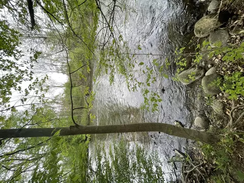 s branch lane, Hesperia, MI 49421
