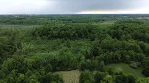 Pioneer Street, Marcellus, MI 49067