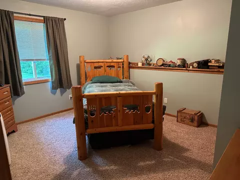 17474 Connor Cir, Bailey, MI 49303 photo 27