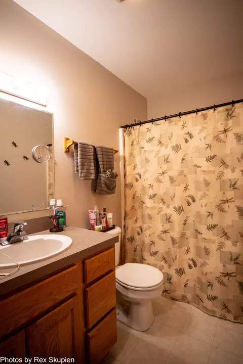 17474 Connor Cir, Bailey, MI 49303 photo 29