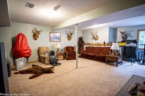 17474 Connor Cir, Bailey, MI 49303 photo 38