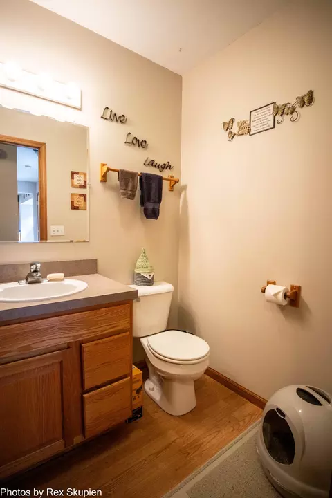 17474 Connor Cir, Bailey, MI 49303 photo 34