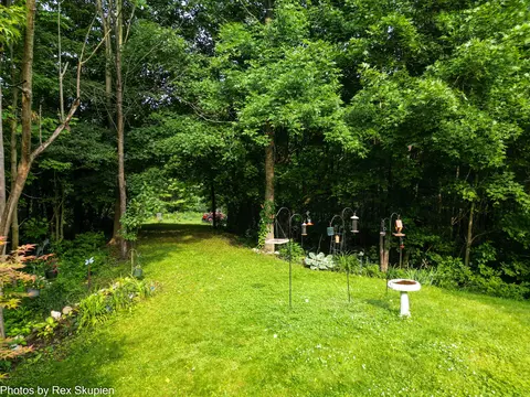 17474 Connor Cir, Bailey, MI 49303 photo 52