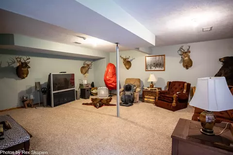17474 Connor Cir, Bailey, MI 49303 photo 39