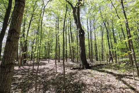 59385 Benny Ct #PARCEL 2, Grand Junction, MI 49056