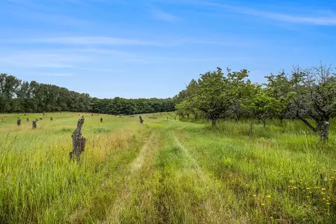 6 W 24 Acres W Tyler Rd, Mears, MI 49436 photo 4