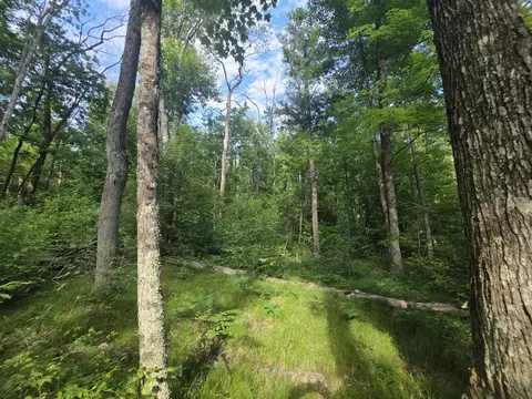 Michland Path, White Cloud, MI 49349