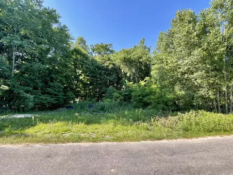 V/l E Shore Drive, Stanton, MI 48888
