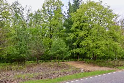 V/l E Levely Road, Rhodes, MI 48652
