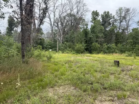102 E Peoria Ave, Idlewild, MI 49642
