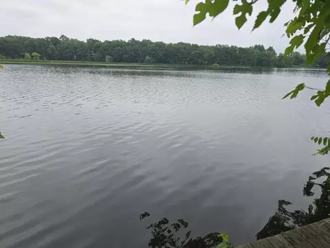 23703 River Run Rd, Mendon, MI 49072 photo 7