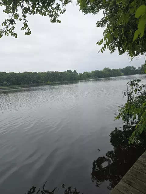23703 River Run Rd, Mendon, MI 49072 photo 8