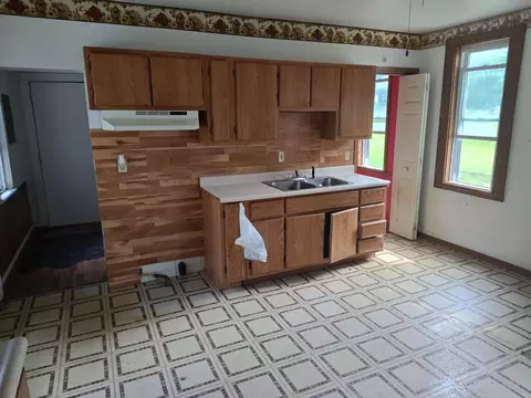 203 E Home St, Edmore, MI 48829 photo 6