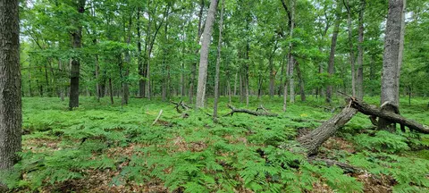 11237 S Rabbit Rd, Baldwin, MI 49304 photo 34