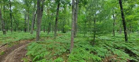 11237 S Rabbit Rd, Baldwin, MI 49304 photo 36