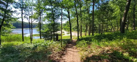 11237 S Rabbit Rd, Baldwin, MI 49304 photo 7