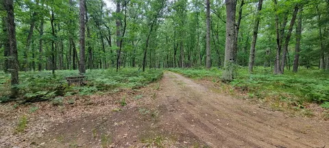 11237 S Rabbit Rd, Baldwin, MI 49304 photo 43