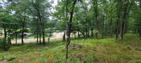 11237 S Rabbit Rd, Baldwin, MI 49304 photo 28