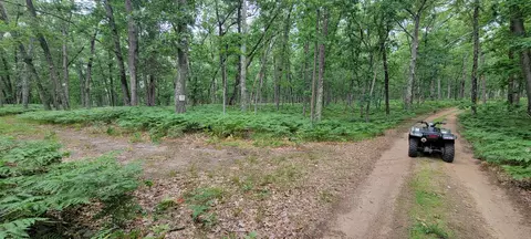 11237 S Rabbit Rd, Baldwin, MI 49304 photo 41
