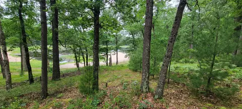 11237 S Rabbit Rd, Baldwin, MI 49304 photo 29