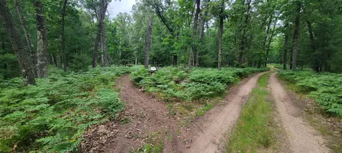 11237 S Rabbit Rd, Baldwin, MI 49304 photo 38