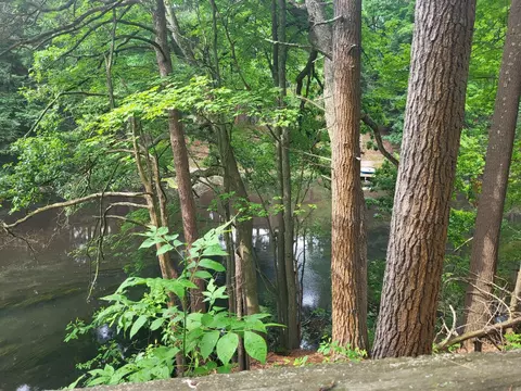 View/Area - 2033 Eilers Dr, Whitehall, MI 49461 photo 1 of 2