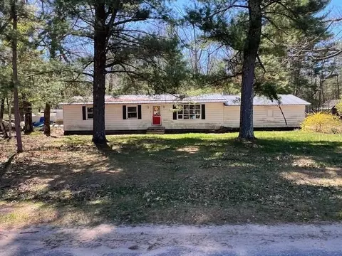 13553 S Star Lake Dr, Baldwin, MI 49304