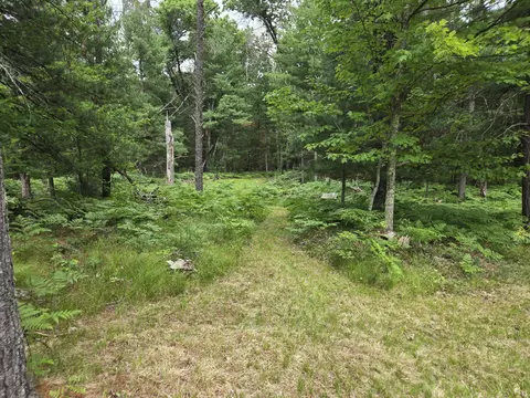 1342 E Wally Fork Dr, Baldwin, MI 49304 photo 30