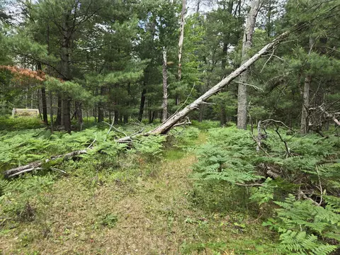 1342 E Wally Fork Dr, Baldwin, MI 49304 photo 32