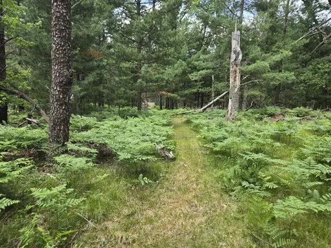 1342 E Wally Fork Dr, Baldwin, MI 49304 photo 31
