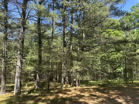 00 Hill Crest Blvd, Baldwin, MI 49304 photo 6