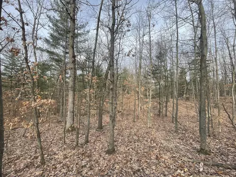 7780 N Harrison Ave, Harrison, MI 48625 photo 11