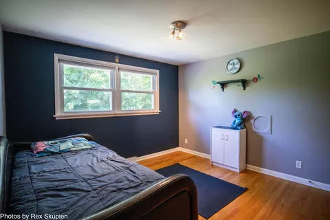 Bedroom - 521 E Pine St, Fremont, MI 49412 photo 6 of 13