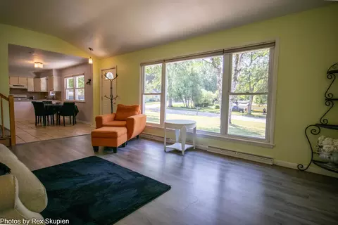 Living - 521 E Pine St, Fremont, MI 49412 photo 3 of 13